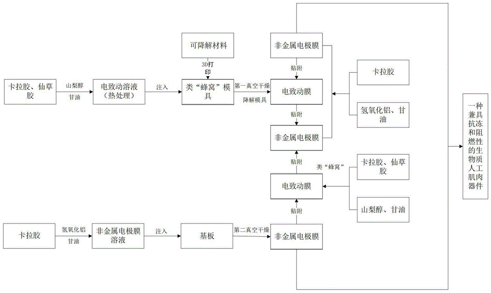 一種生物聚合物人工肌肉及其制備方法和應用